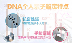 福建亲子鉴定多久时间出结果，福建隐私亲子鉴定需要什么手续