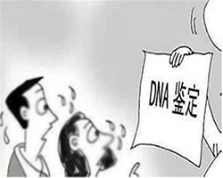 福建上学亲子鉴定如何做