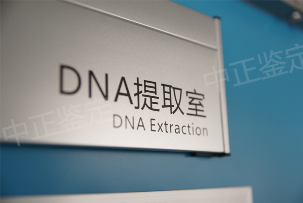 福建户籍亲子鉴定准确性高吗,