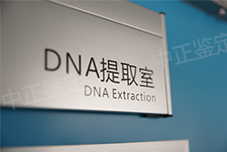 福建医院办理DNA鉴定所需样本有些什么，福建医院办理亲子鉴定出结果时间