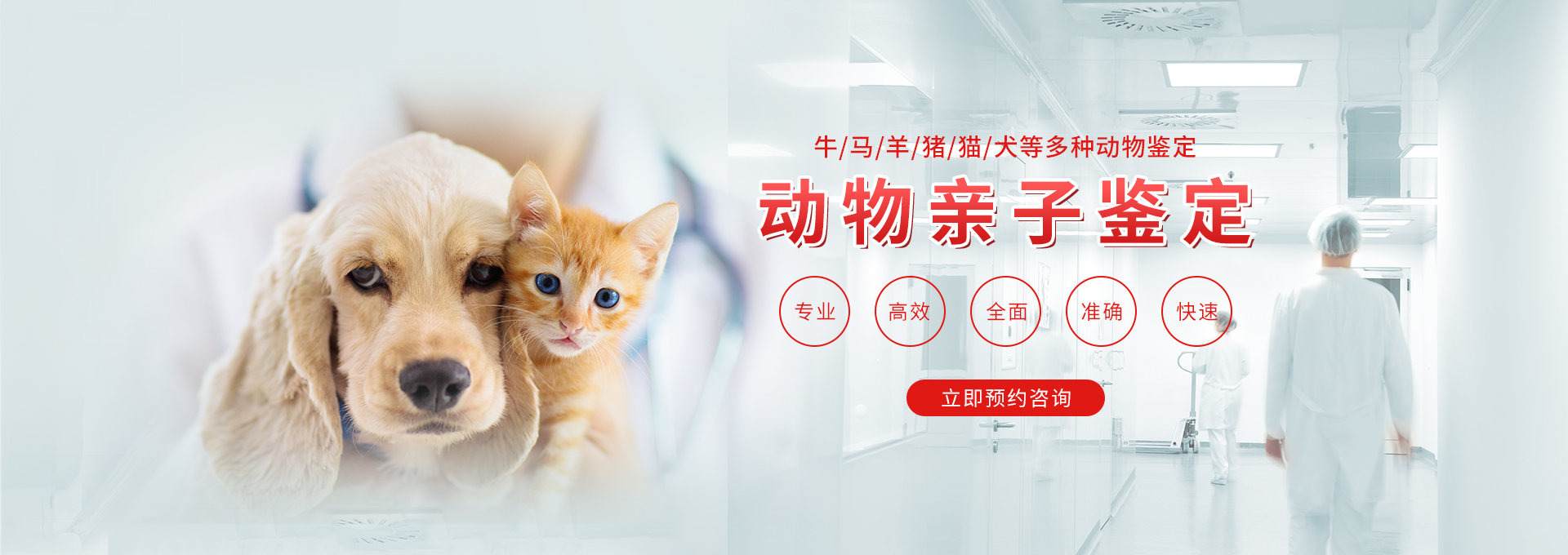 福建动物鉴定